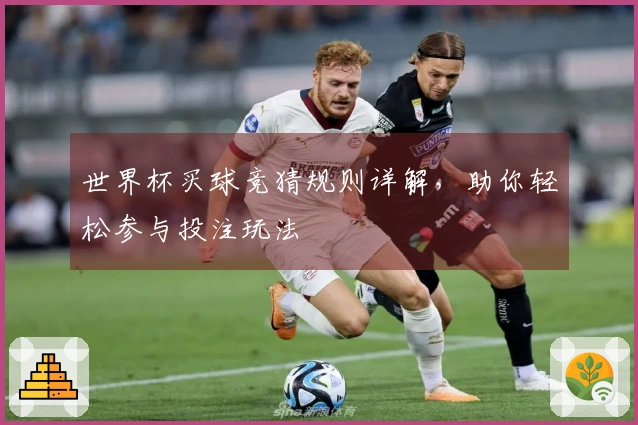 世界杯买球竞猜规则详解，助你轻松参与投注玩法