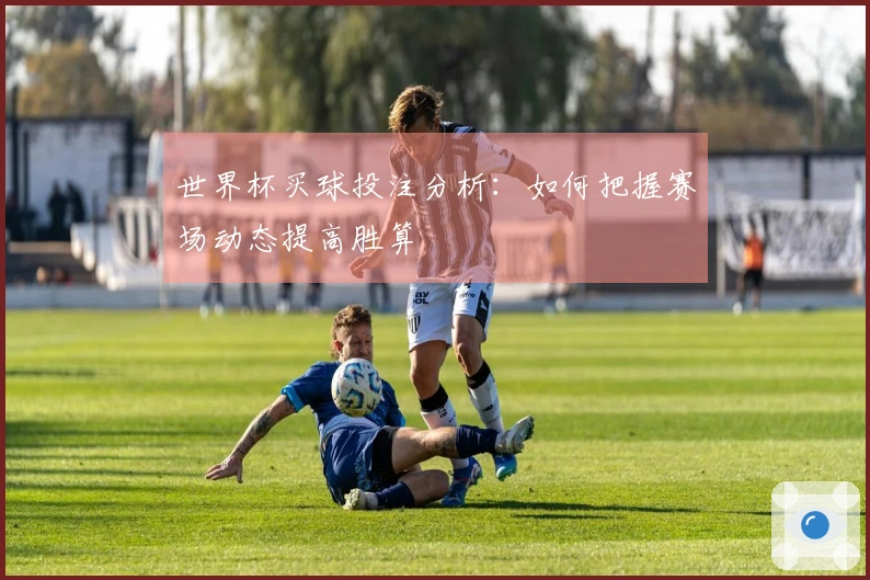 世界杯买球投注分析：如何把握赛场动态提高胜算