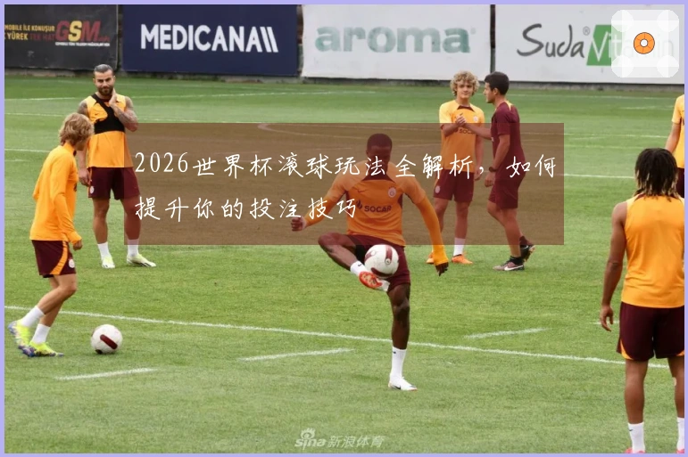 2026世界杯滚球玩法全解析，如何提升你的投注技巧