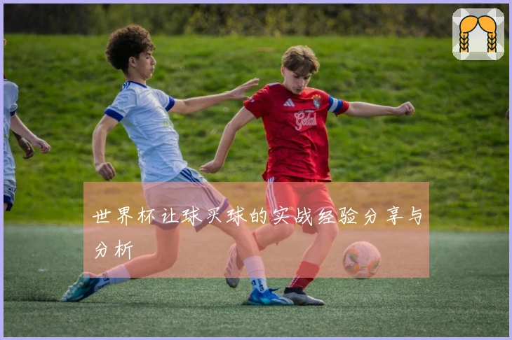 世界杯让球买球的实战经验分享与分析