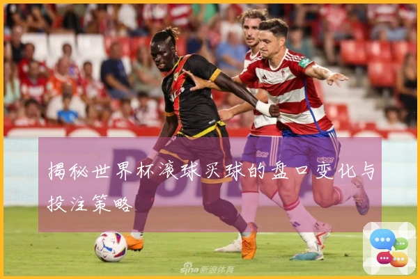 揭秘世界杯滚球买球的盘口变化与投注策略