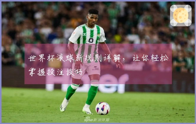 世界杯滚球新规则详解，让你轻松掌握投注技巧