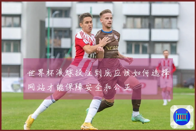世界杯滚球投注到底应该如何选择网站才能保障安全和公正