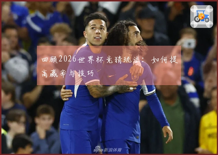回顾2026世界杯竞猜玩法：如何提高赢率与技巧